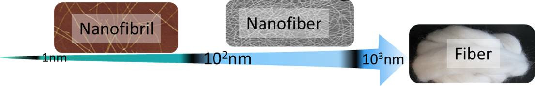 生物质基一维纳米材料