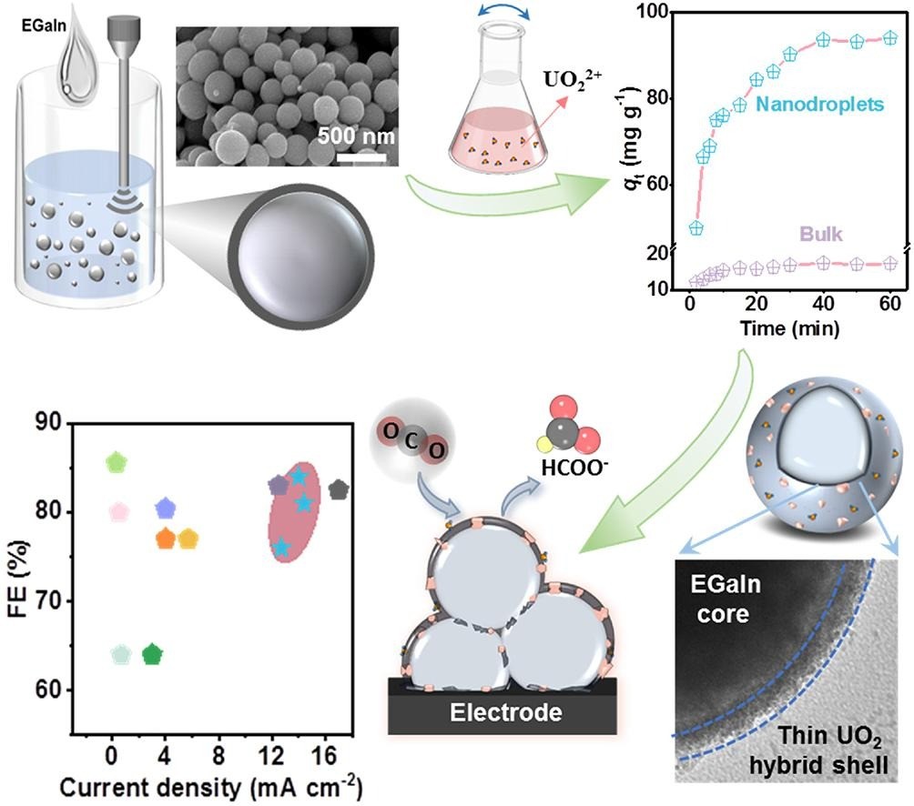 Capturing aqueous uranyl ions into catalytic nanometric shells of liquid metal droplets for electrochemical reduction,Chemical Engineering Journal,2024,Zhuanzhuan Zhai, Lifen Long , Xinpeng Che , Bailang Zhang , Ting Wang , Mingjie Li , Chaoxu Li