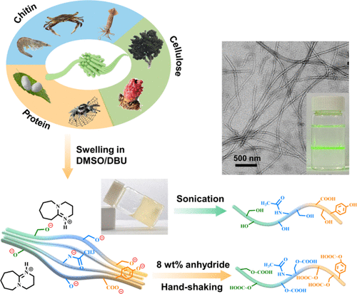 Versatile Deprotonation-Induced Exfoliation and Functionalization of Biological Nanofibrils for Actuation and Fluorescence.ACS Appl. Mater. Interfaces 2024. Bailang Zhang , Ting Wang, Mingjie Li, Minghao Mu, Zheng Wang, Yuwei Chen, and Chaoxu Li.