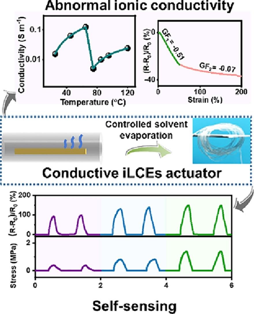 Zwitterionic liquid crystal elastomer with unusual dependence of ionic conductivity on strain and temperature for smart wearable fabric.Chemical Engineering Journal.2024.Yongpeng Wu , Fang Wei , Tingxi Li , Mingjie Li , Danfeng Pei , Chaoxu Li.